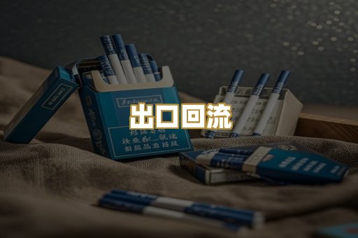 出口回流